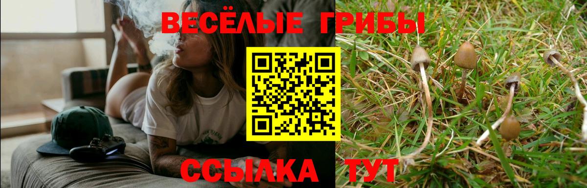 Псилоцибиновые грибы MAGIC MUSHROOMS  Вход с VPN  Ревда 