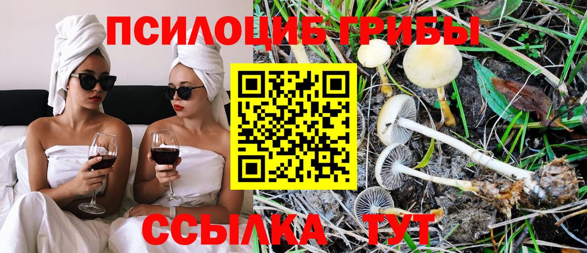 Псилоцибиновые грибы мухоморы Ревда